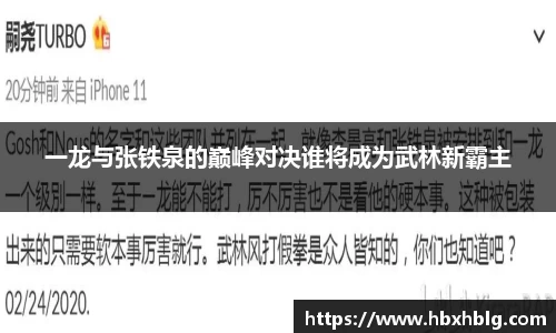 一龙与张铁泉的巅峰对决谁将成为武林新霸主